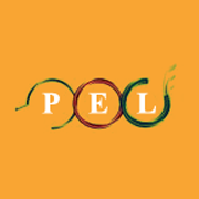 Pagaria Energy Ltd Share Price