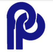 Pankaj Polymers Ltd Share Price