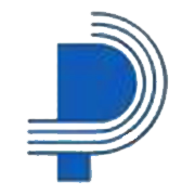 Patspin India Ltd Share Price