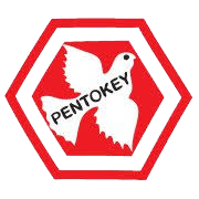 Pentokey Organy (India) Ltd Share Price