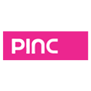 Pioneer Investcorp Ltd Share Price