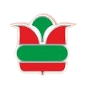 Prima Plastics Ltd Share Price