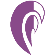 Prime Property Development Corporation Ltd Share Price