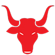 Pritish Nandy Communications Ltd Share Price