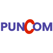 Punjab Communications Ltd Share Price