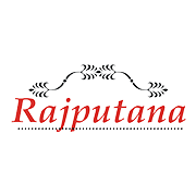 Rajputana Investment & Finance Ltd Share Price