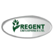 Regent Enterprises Ltd Share Price