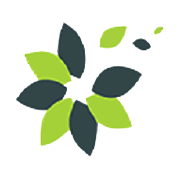 Retro Green Revolution Ltd Share Price