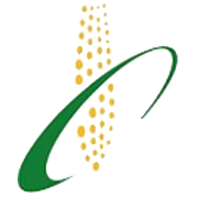 Riddhi Siddhi Gluco Biols Ltd Share Price