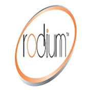 Rodium Realty Ltd Share Price