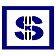 S K International Export Ltd Share Price