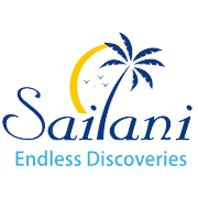 Sailani Tours N Travels Ltd Share Price