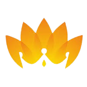 Shahlon Silk Industries Ltd Share Price