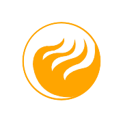 Sheshadri Industries Ltd Share Price