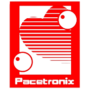 Shree Pacetronix Ltd Share Price