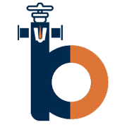 Shri Balaji Valve Components Ltd Share Price