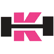 Shri Kalyan Holdings Ltd Share Price