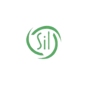 Southern Infoconsultants Ltd Share Price