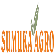 Gujjubhai Industries Ltd Share Price