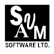 Svam Software Ltd Share Price