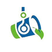 Synergy Green Industries Ltd Share Price