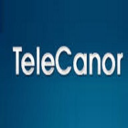 TeleCanor Global Ltd Share Price