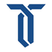 Texel Industries Ltd Share Price