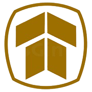 Thakral Services (India) Ltd Share Price