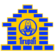 Tirupati Sarjan Ltd Share Price