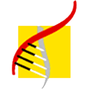 Transgene Biotek Ltd Share Price