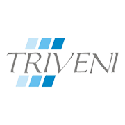 Triveni Glass Ltd Share Price