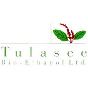 Tulasee Bio-Ethanol Ltd Share Price