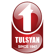 Tulsyan NEC Ltd Share Price