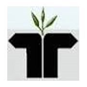 Tyroon Tea Company Ltd Share Price