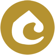 U P Hotels Ltd Share Price