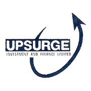 Upsurge Investment & Finance Ltd Share Price