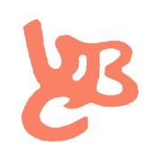 Chrome Silicon Ltd Share Price