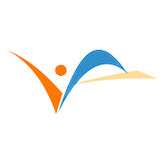 Vedavaag Systems Ltd Share Price