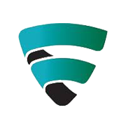 Veefin Solutions Ltd Share Price