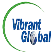 Vibrant Global Capital Ltd Share Price