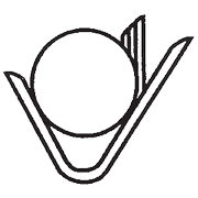 Vikalp Securities Ltd Share Price