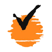 Virat Industries Ltd Share Price