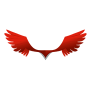 Kati patang Lifestyle Ltd Share Price