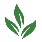 Warren Tea Ltd Share Price
