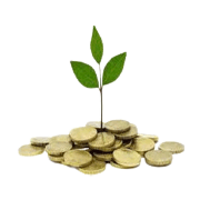 Yamini Investment Company Ltd Share Price