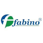 Fabino Enterprises Ltd Share Price