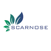 Scarnose International Ltd Share Price